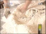 地球密码（周末精编节目） 周末精编节目 2010年 第234期