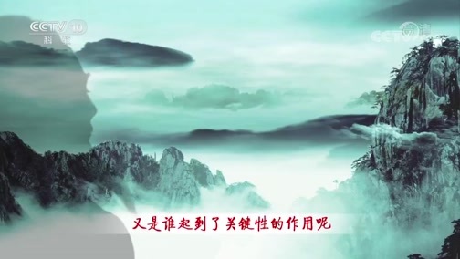 百家讲坛 《百家讲坛》 20200227 诗歌故人心（第二部）28 红萼无言耿相忆