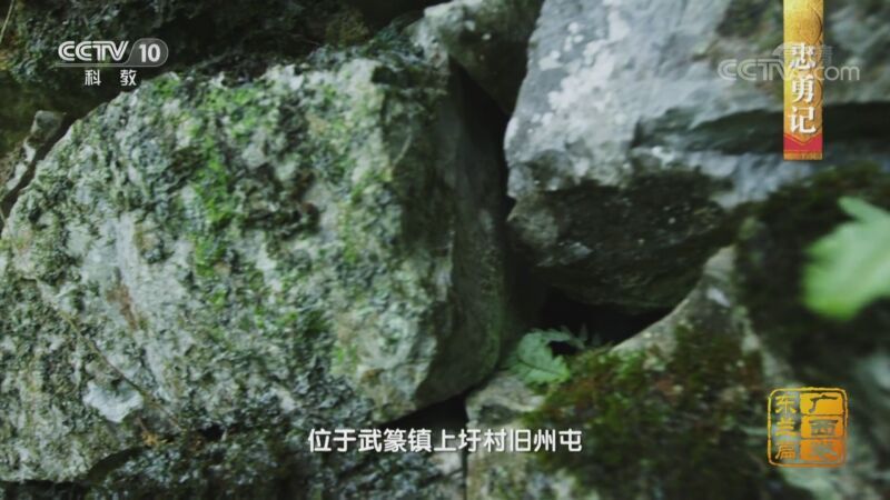 中国影像方志 《中国影像方志》 第651集 广西东兰篇