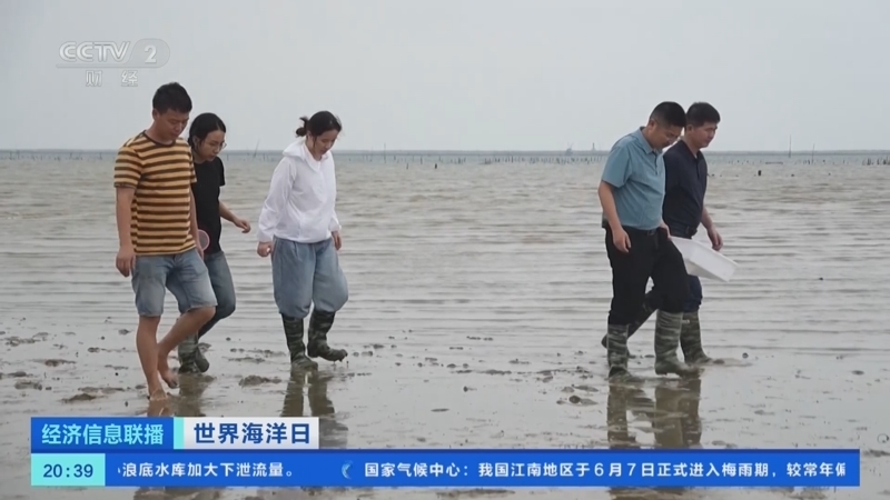 经济信息联播 《经济信息联播》 20250608