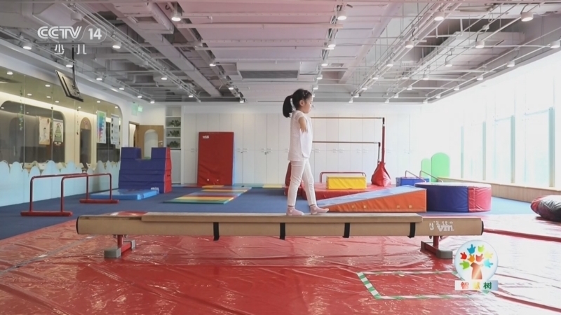 智慧树 《智慧树》 20260513