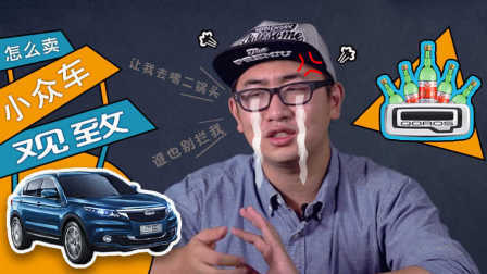 观致车主流着泪对我说以后不买小众车