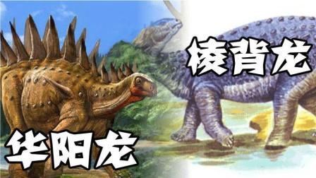 华阳龙VS棱背龙 22