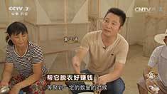 致富经 [致富经]帮它脱衣好赚钱 20160908