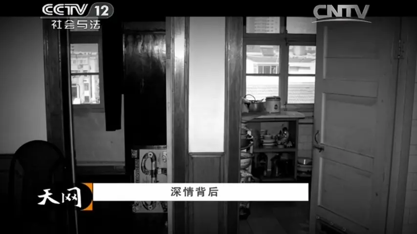 《天网：“案”藏玄机》第3集