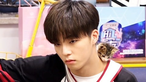 陈立农唱歌逗猫超暖 胡先煦洗胶片遇糗事