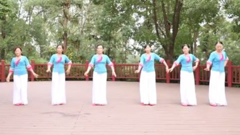 广场舞 广场舞 《小小新娘花》