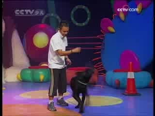 智慧树 智慧树 2008年 第293期