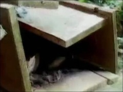 经典传奇 深山秘境之葬俗探秘