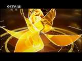 风华国乐 风华国乐 2011年 第137期