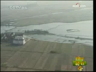 新闻袋袋裤 新闻袋袋裤 2008年 第329期