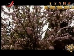 经典传奇 香妃秘事