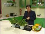 地球密码（周末精编节目） 周末精编节目 2010年 第125期