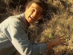 荒野求生第1季（Man vs. Wild Season 1） 荒野求生第1季（Man vs. Wild Season 1）第9集