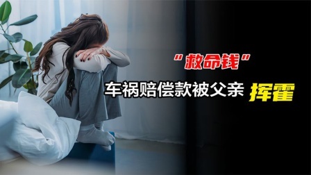 品人生百味第二季 女儿车祸10万赔偿金，被前夫全部拿走挥霍：再找我整死你！
