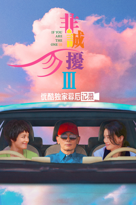 非诚勿扰3优酷独家幕后记录