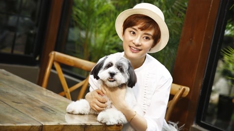 一犬一话 孙俪与流浪动物的不解情缘