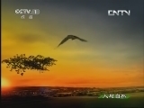 人与自然 《人与自然》 20130520 自然启示 奇异的药物
