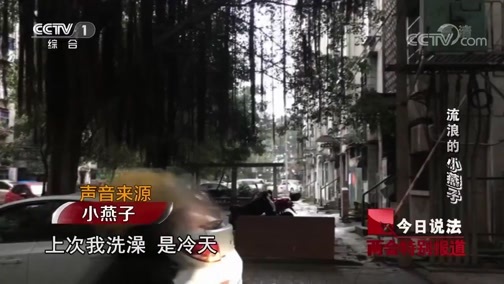 今日说法 《今日说法》 20190306 两会特别节目《公平正义新时代》——流浪的小燕子