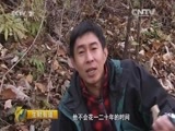生财有道 《生财有道》 20151217 生态中国系列（边关行）：走进生态集安（上）
