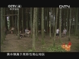 远方的家 北纬30°·中国行 第八十六集 清凉黄水 火热万州《远方的家》20121024