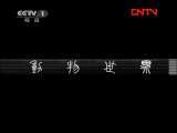 动物世界 《动物世界》 20111130