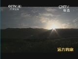 远方的家 《远方的家》 20140914 边疆行（60） 塔什库尔干：帕米尔雄鹰