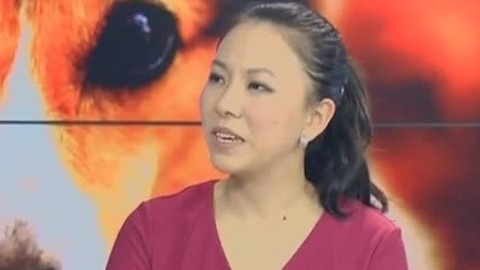说东道西 说东道西之新萌宠时代
