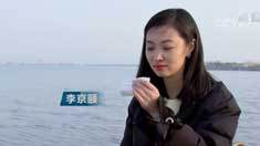 致富经 [致富经]漂亮姑娘废料里淘金 一年多卖1700万 20190301