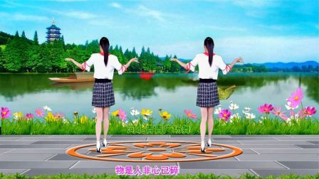 流行DJ广场舞及教学 第三季 动感优美广场舞《无奈落下伤心泪》演示分解