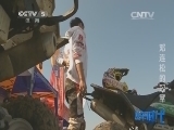 赛车时代 《赛车时代》 20141224