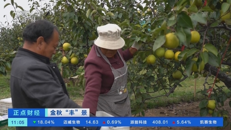 正点财经 《正点财经》 20221018 11:00