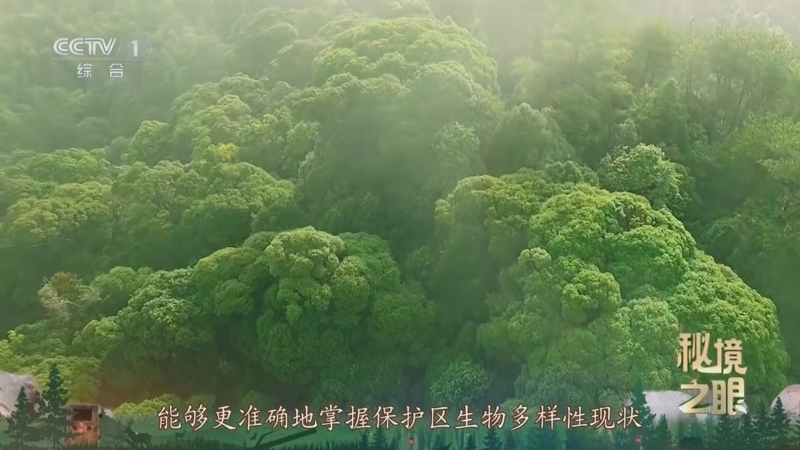 秘境之眼 《秘境之眼》 小麂/白鹇 20250406