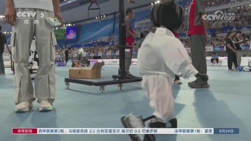 体育新闻 [体育新闻]完整版 20260824