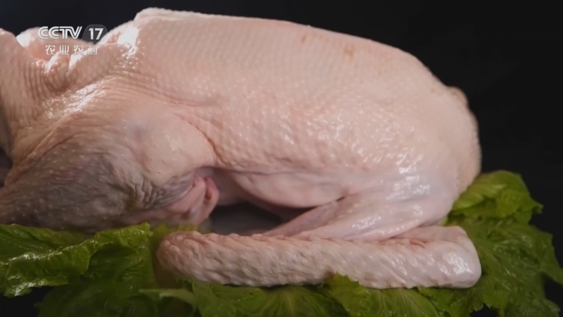 《谁知盘中餐》 20260118 新年知新味 鹅香满天下