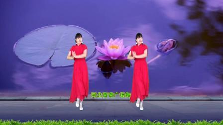 流行DJ广场舞及教学 第三季 广场舞《对你的承诺永远不会变》32步教学