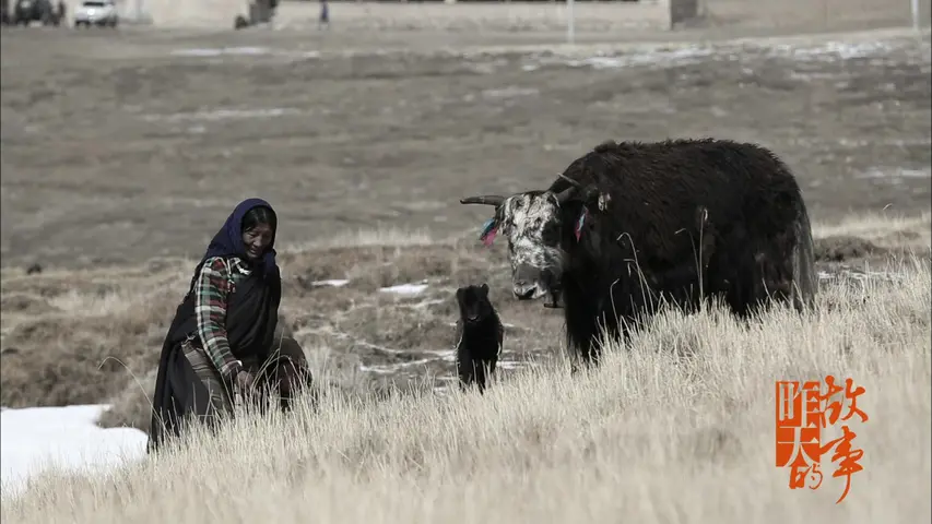 昨天的故事 2017 第4集