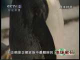 地球密码（周末精编节目） 周末精编节目 2010年 第162期 1-2