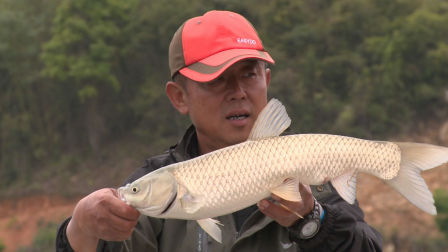 游钓中国 第三季 第11集 放竿岭南山中海洋 烟雨朦胧鏖战底物