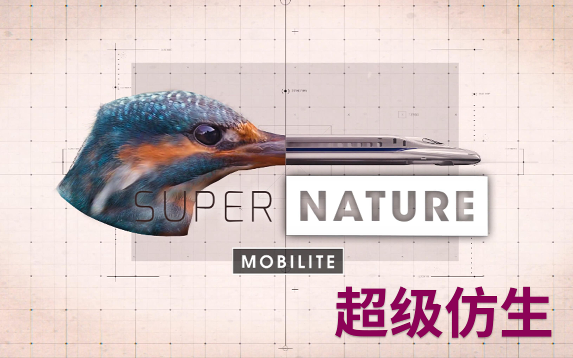 移动性