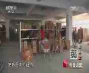今日说法 《今日说法》 20140827 灰烬人生