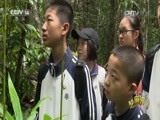 芝麻开门【央视】 《芝麻开门》 20161010 科学之旅之探秘尖峰岭