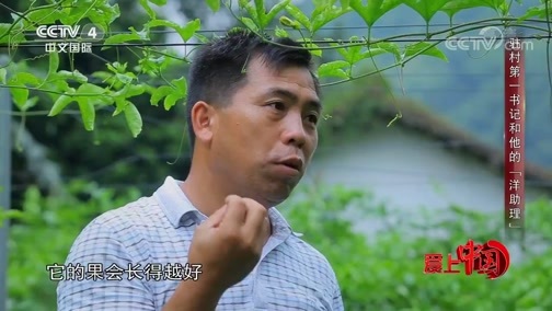 《爱上中国》 20191007 驻村第一书记和他的“洋助理”