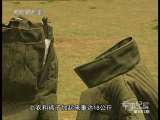 军事纪实 训犬记