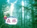 宝宝语言启蒙 大自然