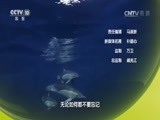 原来如此 《原来如此》 20160911 巧用鱼竿钓大鱼