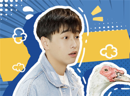 动物园第6期：蘑菇屋社交法则