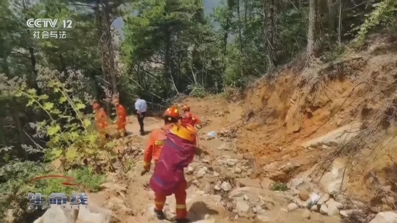 生命线 《生命线》 20241120