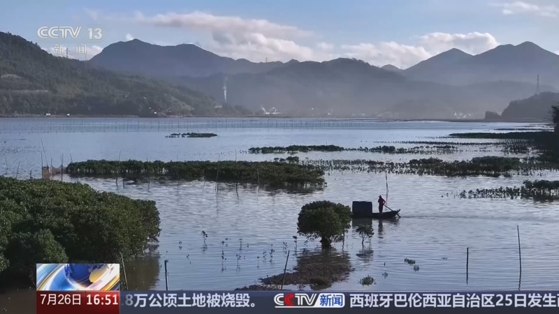 新闻直播间 《新闻直播间》 20260726 16:00