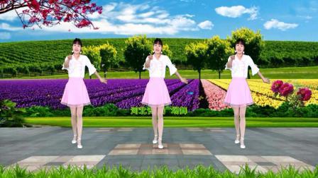 广场舞《你比春天还美丽》动感32步附教学